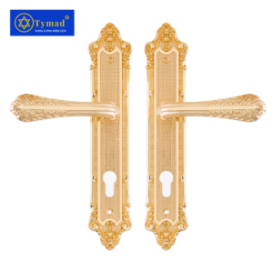 Khoá Cửa Anylock Bình Dương 016