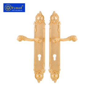 Khoá Cửa Anylock Bình Dương 018