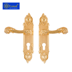 Khoá Cửa Anylock Bình Dương 019