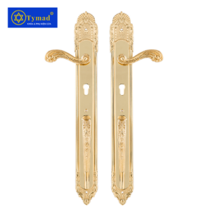 Khoá Cửa Anylock Bình Dương 02