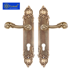 Khoá Cửa Anylock Bình Dương 020