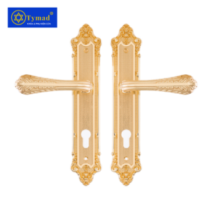Khoá Cửa Anylock Bình Dương 022