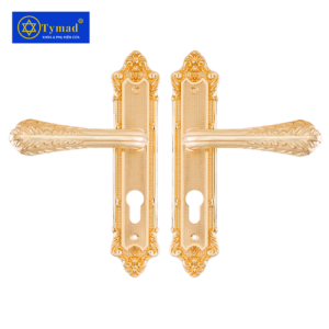 Khoá Cửa Anylock Bình Dương 023