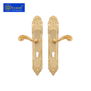Khoá Cửa Anylock Bình Dương 025
