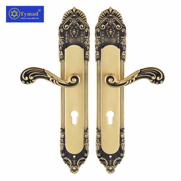 Khoá Cửa Anylock Bình Dương 04