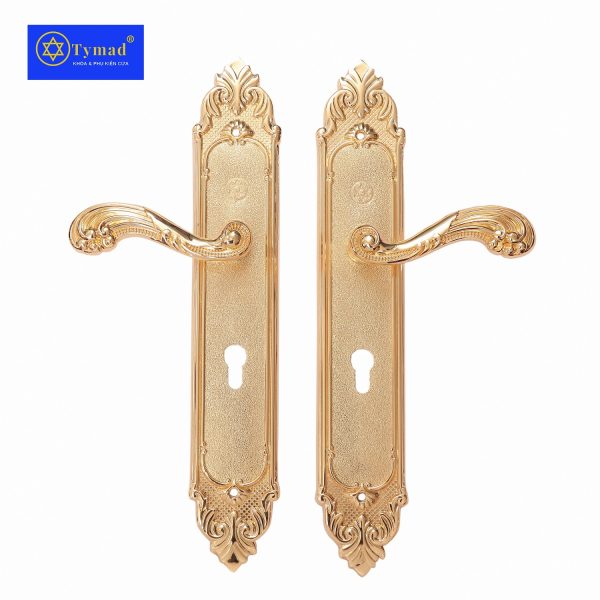Khoá Cửa Anylock Bình Dương 05