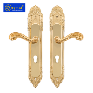 Khoá Cửa Anylock Bình Dương 06