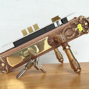 Khoá Cửa Anylock Bình Dương 14