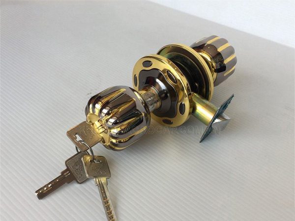 Khoá Cửa Anylock Bình Dương 3