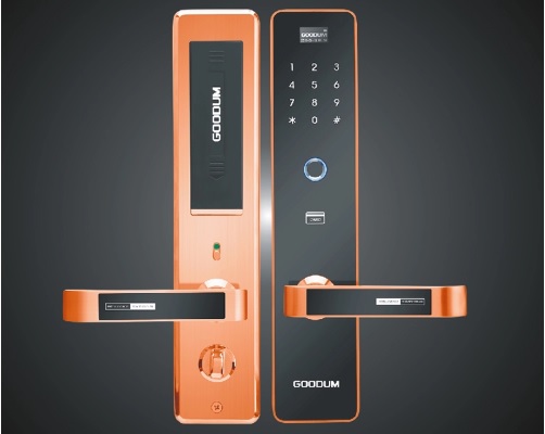 Khóa cửa điện tử Goodum GT060