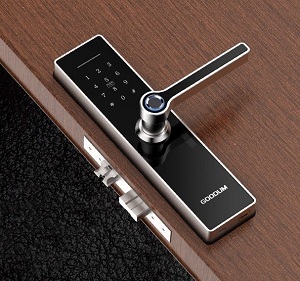 Khóa cửa điện tử Goodum H6800T