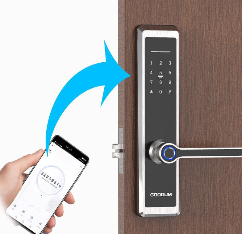 Khóa cửa điện tử Goodum H6800T