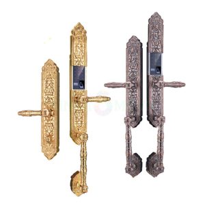 Khoa Cua Anylock Binh Duong 36