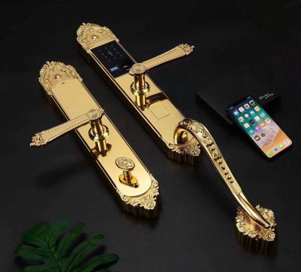 Khoa Cua Anylock Binh Duong 51