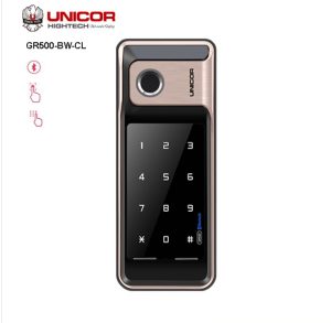 Khoa Cua Anylock Binh Duong 8