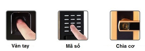 Khóa cửa vân tay Dessmann G800FP