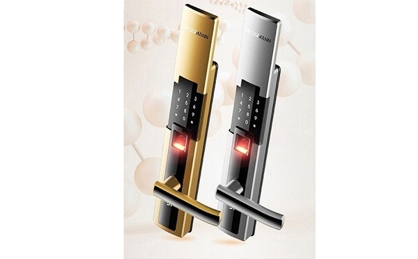 Khóa cửa vân tay Dessmann S510-II-Đức