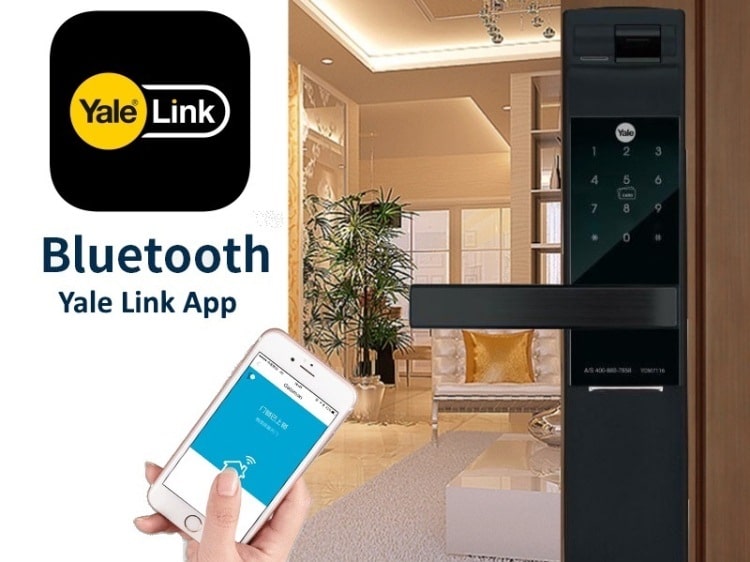 Khóa cửa vân tay Yale YDM7116A MB