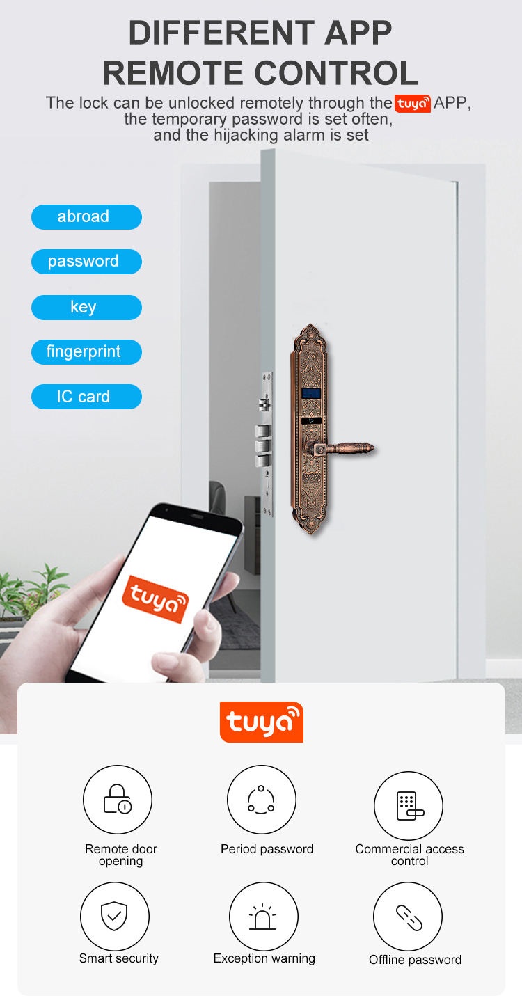 Khóa vân tay cổ điển IKS S1108