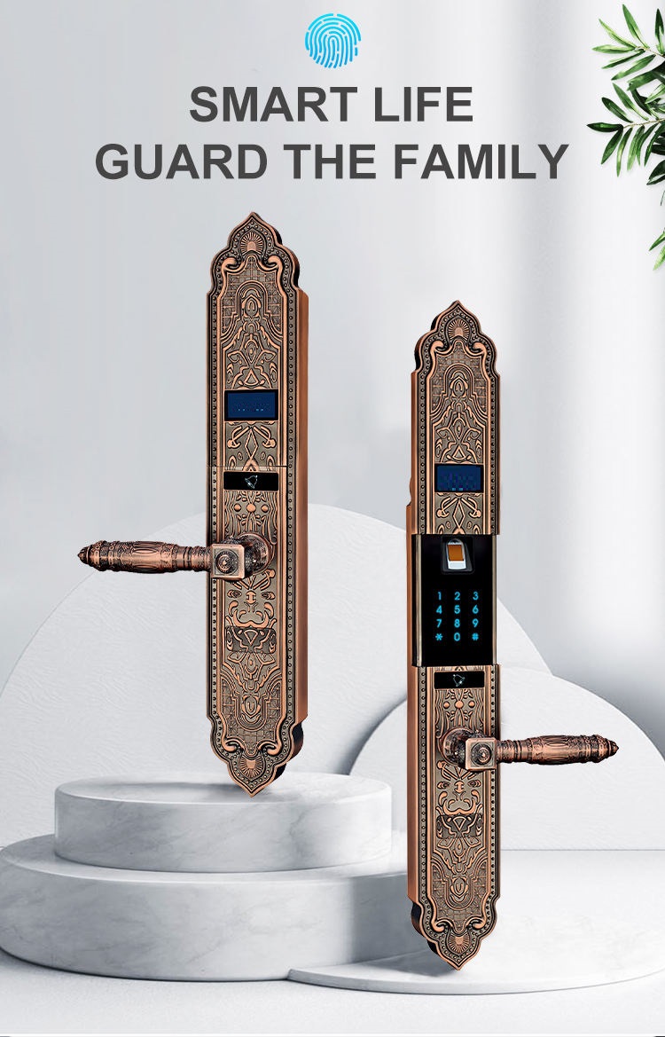Khóa vân tay cổ điển IKS S1108