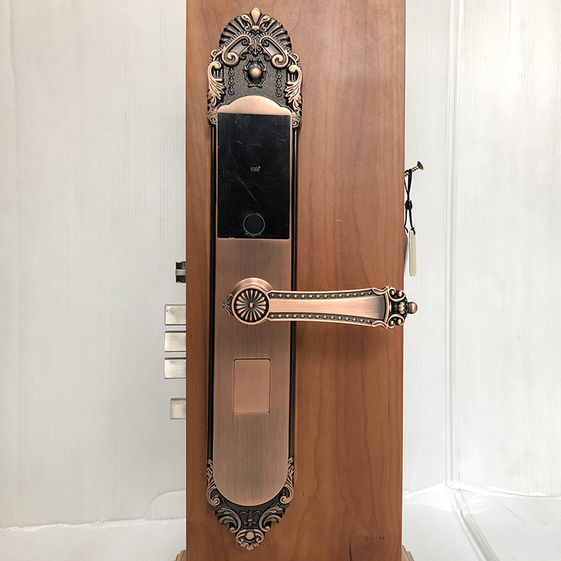 Khóa vân tay đồng cổ điển IKS S500-RG