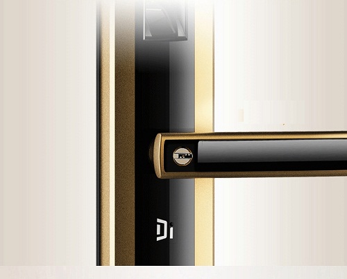 Khóa vân tay Wifi Dessmann A510